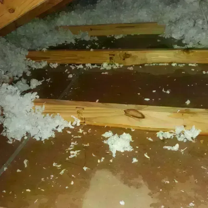 Attic Water Damage in Mountain View Acres, CA