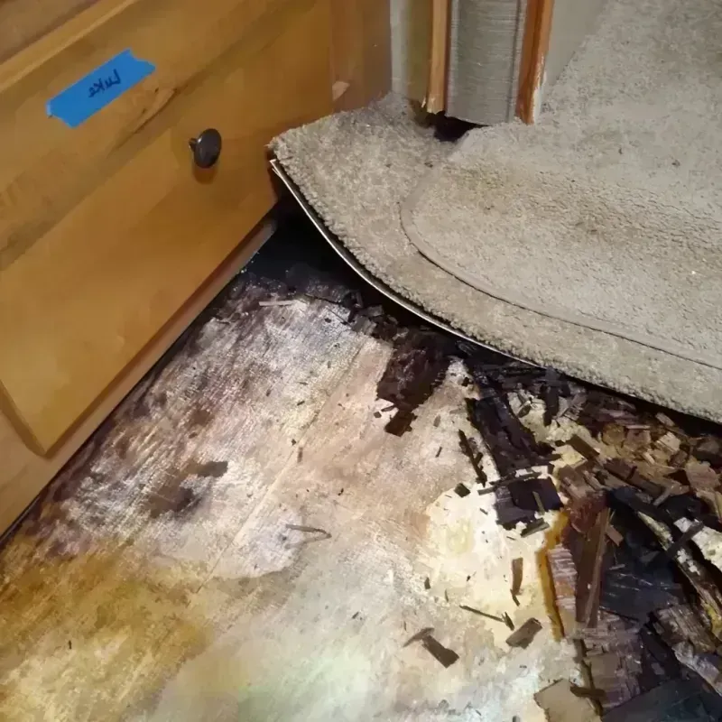 Wood Floor Water Damage in Mountain View Acres, CA